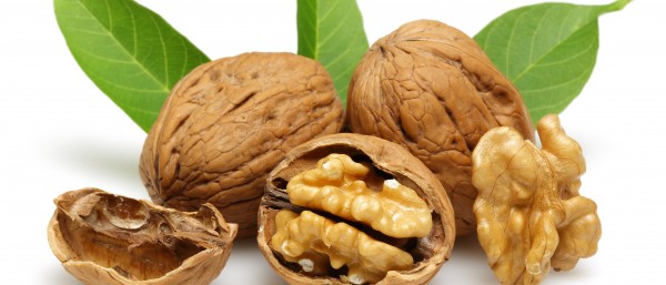 Walnut