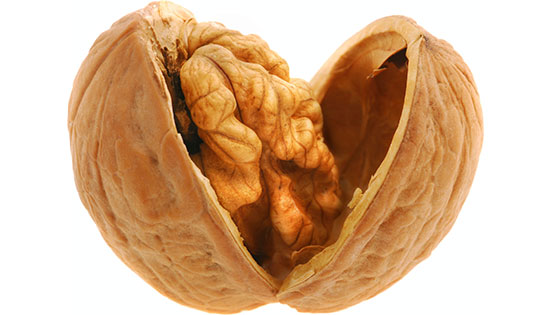 walnuts4